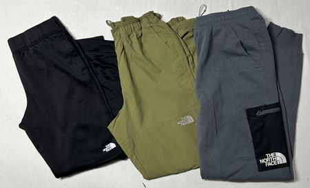 The north face track pants WR_0770