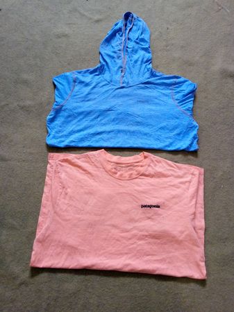 Camiseta Patagonia