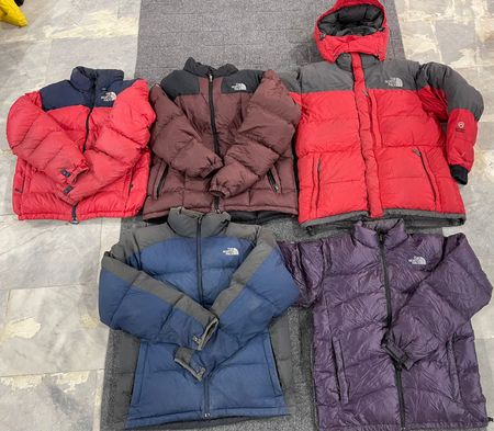 The North Face Puffer Jackets 001