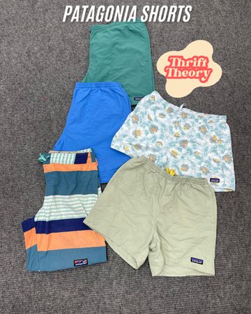 Patagonia Shorts - (02/02)