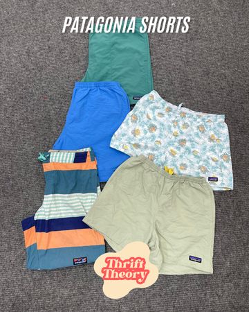Patagonia Shorts - (02/02)