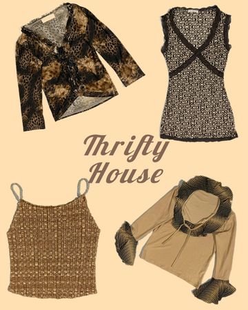 Retro + Animal Print Y2k Tops(TH/184)