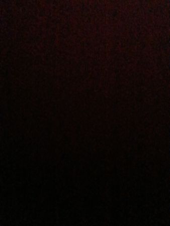 Pants Dickies selecionados pessoalmente