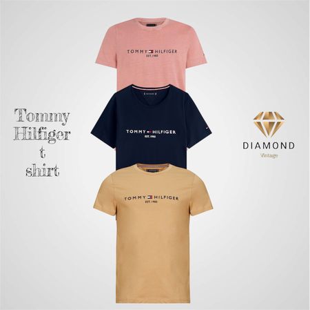 Tommy Hilfiger T Shirts (DV -02-31)