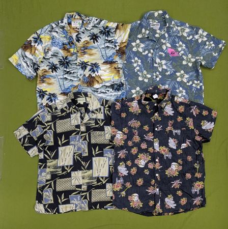 💥 RV2119 Hawaiian Shirts
