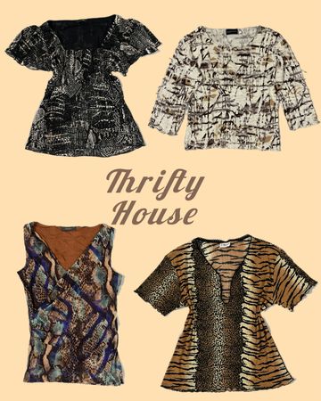 Y2K Safari-Core Aesthetic Mix Tops(TH/217)