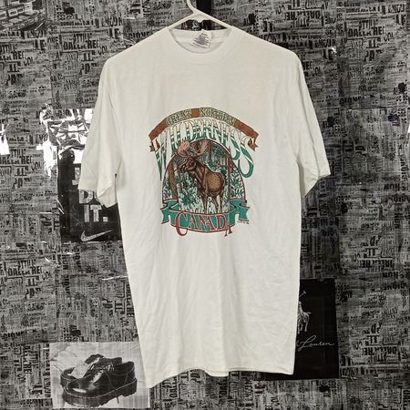 SINGLE STITCH T-SHIRTS- BUNDLE 41