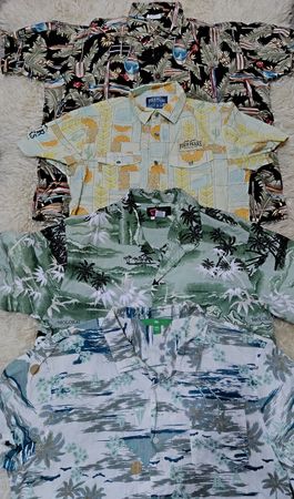 Hawaiian shirt (RV # 322)