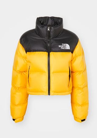 The North Face Jackets