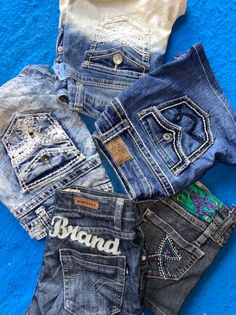 Wallflower & other brands shorts /86