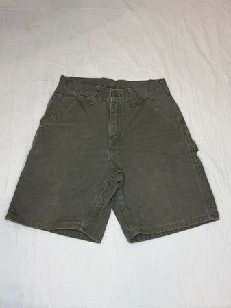 Carhartt Shorts | V-T372
