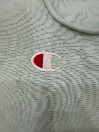 AVG-0276 Champion Hoodies