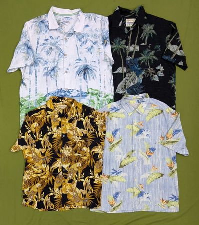 💥 RV2392 Hawaiian Shirts