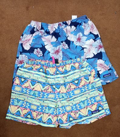 Patagonia Sport Shorts