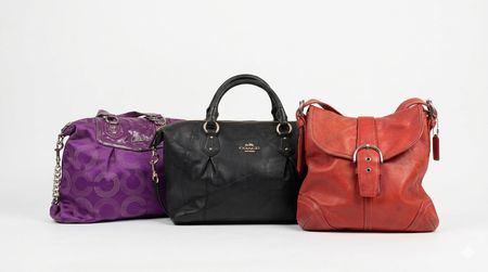 Coach Bags | Premium Articles