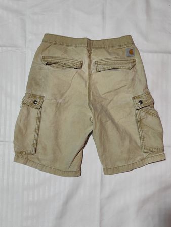 Carhartt and Dickies Shorts