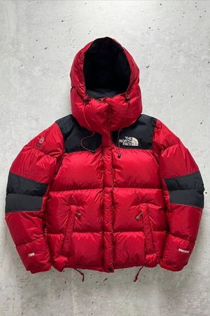 The north face puffer jacket