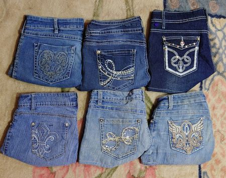 WALLFLOWER AND OTHER BRAND MINI MICRO SHORTS (33)