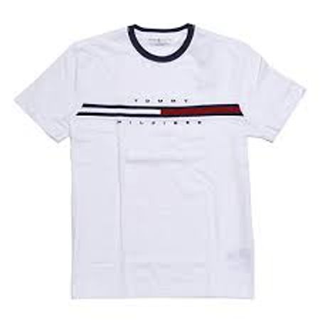 Tommy hilfiger t.shirts