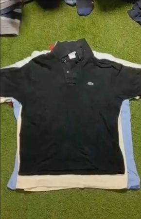 Lacoste Polo Tshirt
