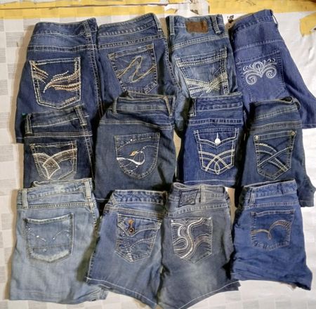 WALLFLOWER SILVER AND OTHER BRAND MINI MICRO SHORTS (MR712)