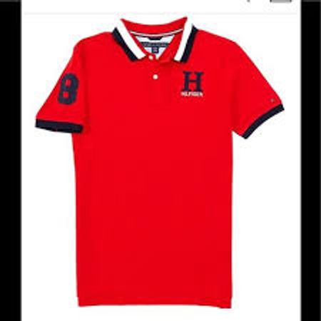 Premium Tommy hilfiger t-shirts