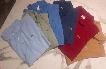 「Lacoste Tシャツ」
