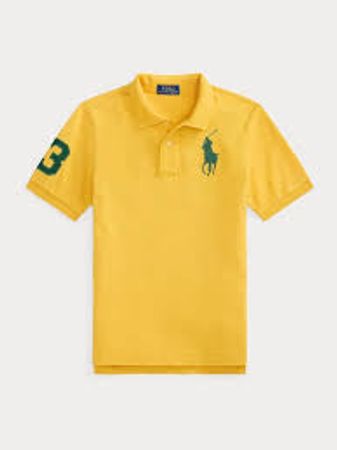 Polo ralph lauren t-shirts