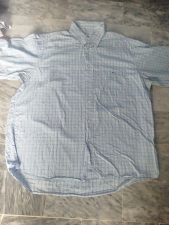 Lacoste shirts
