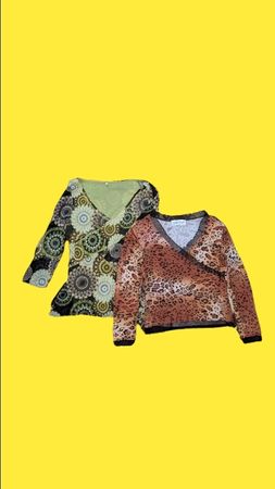 Y2K Mesh Long Slv Blouse