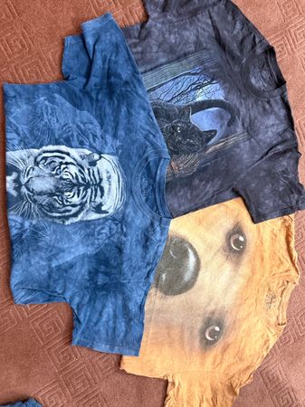 The Mountain Graphic T-Shirts