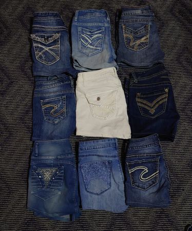 WALLFLOWER AND OTHER BRAND MINI MICRO SHORTS (09)