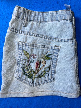 Big star & 0ther brands mini skirts /204