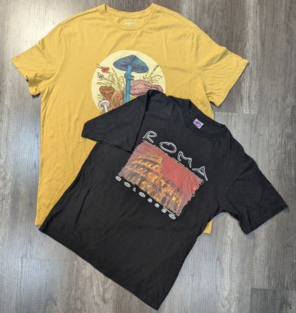 4804 - Vintage Style Champion and unbranded Half Sleeves printed T-Shirts