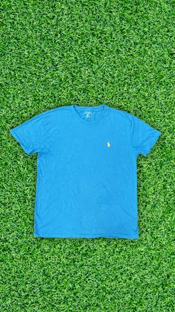 A.Y222 Ralph Lauren T-Shirts