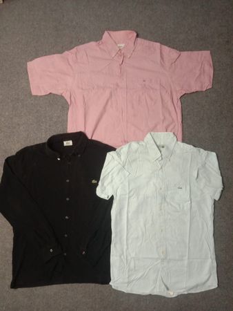 Lacoste shirts