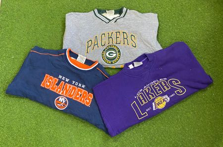 Pro Sports/Lee Sports Sweatshirts