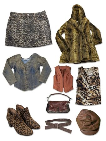(FV-1102) Vintage Animal Print Bundle | Leopard, Faux Fur, Boho & Y2K Grunge Aesthetic Mix