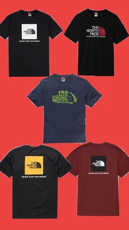 The north face t-shirt