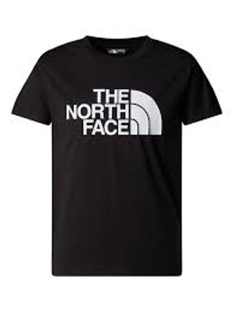The north face t-shirts