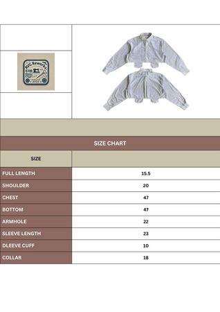 Upcycled Cropped Shirt