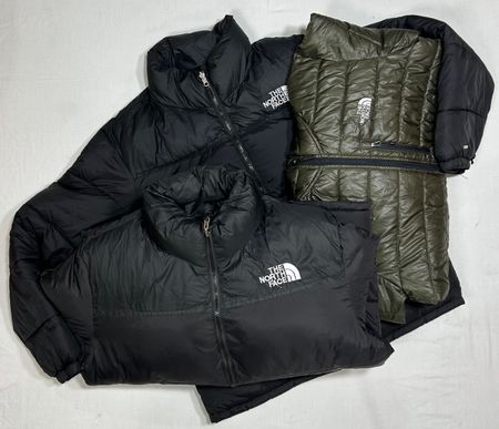 The north face jacket WR_01249