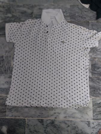 Lacoste polo shirts