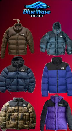 The north face jacket