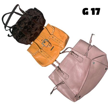 Branded Bags (brands) Coach and juicy #G17
