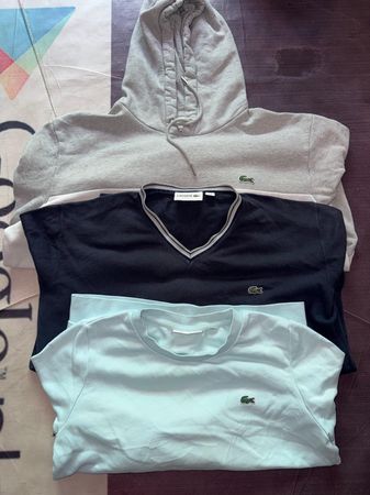 acoste sweater and sweatshirts