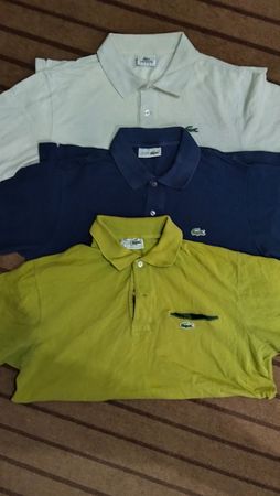 Lacoste t shirts for men,s