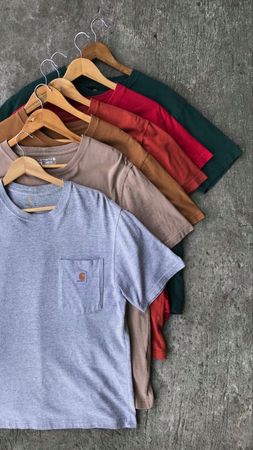 Premium Carhartt T-Shirts ✨