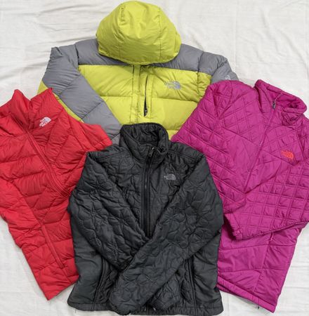 The North Face Puffer Jackets (189)