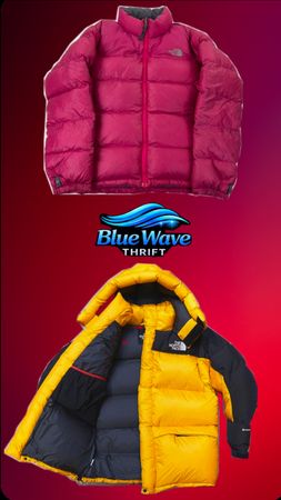 The north face jacket